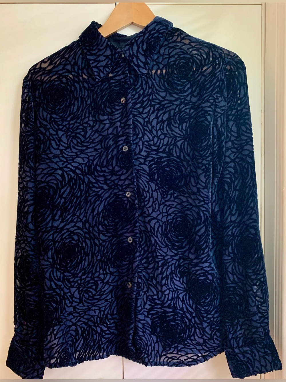 Velvet Floral Burnout Button-Up Blouse - Picture 1 of 3